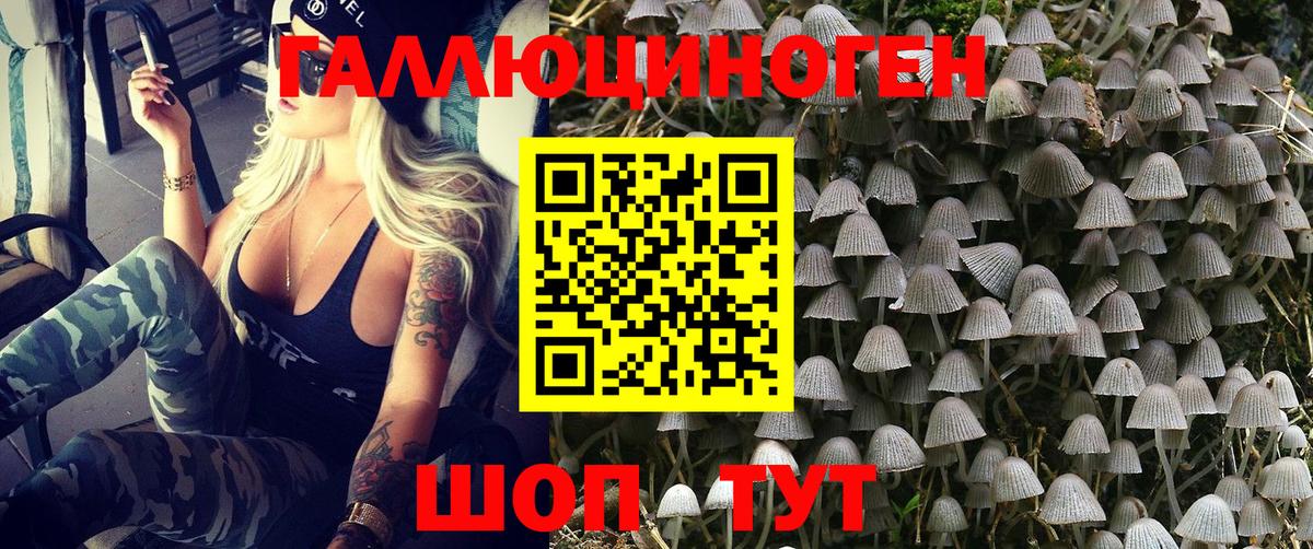 Тамбов  Псилоцибиновые грибы Psilocybine cubensis  Галлюциногенные грибы прущие грибы  Вход с VPN 